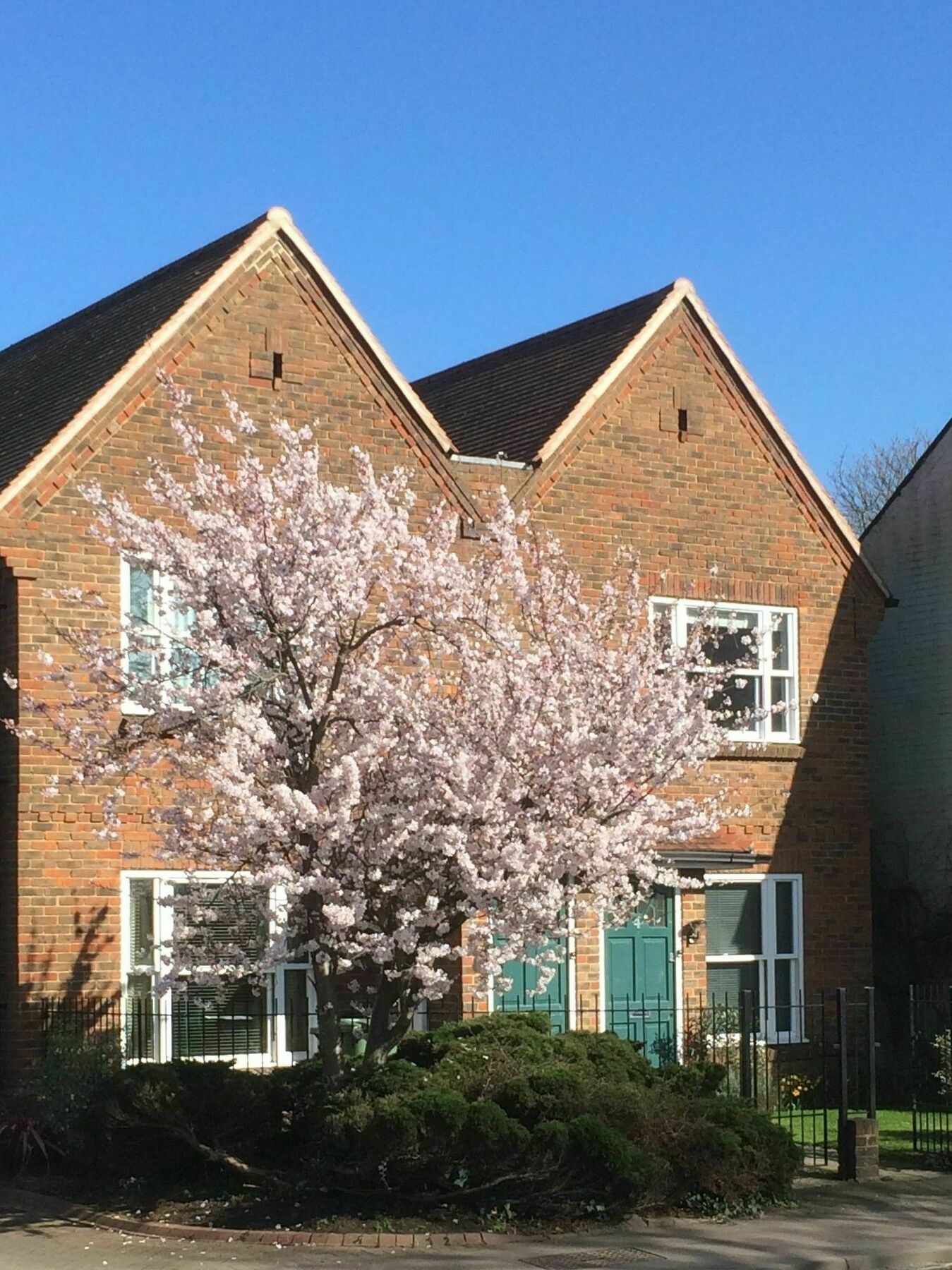 3 Summertown Court Oxford Eksteriør billede
